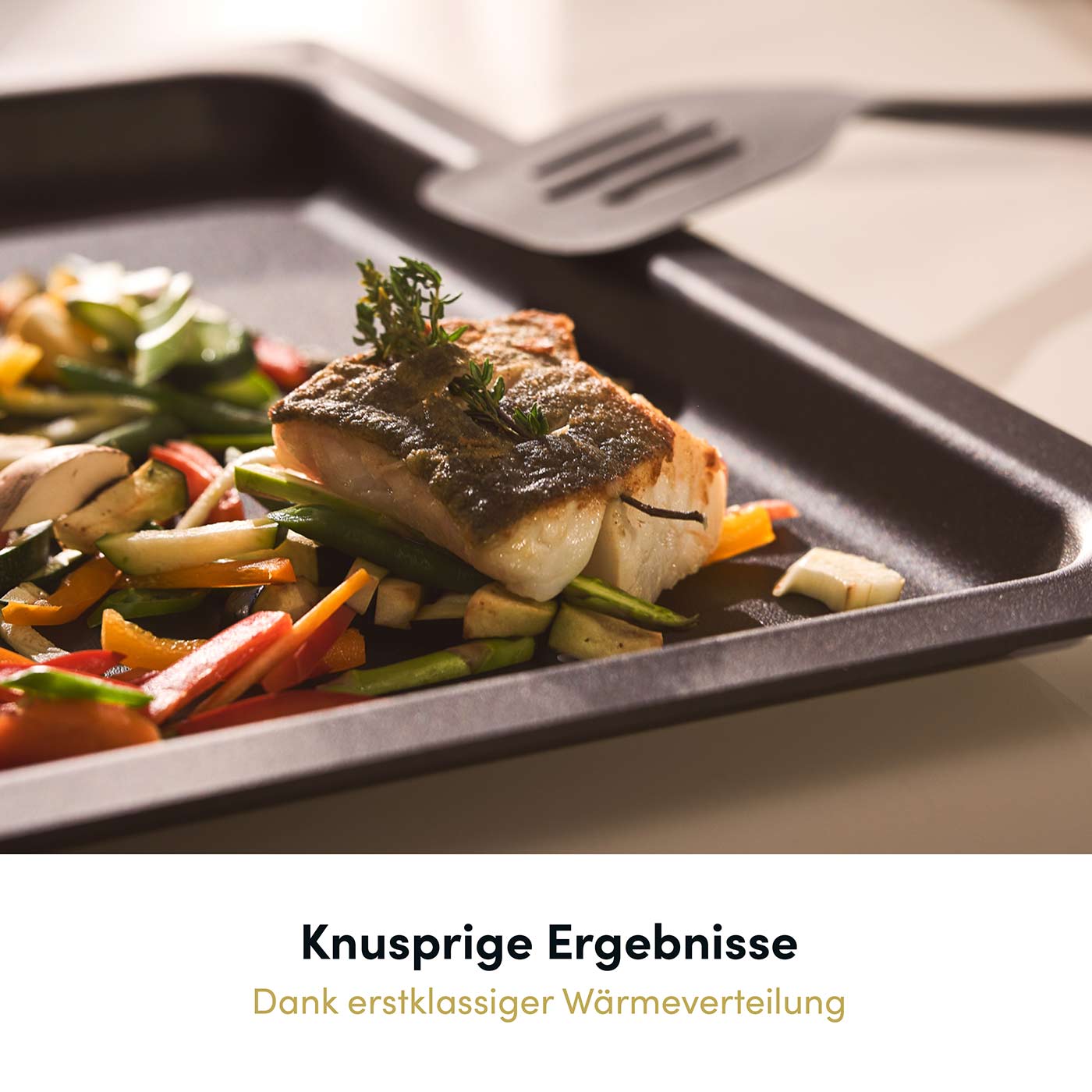 Backplatte 465x360 mm, handgegossen